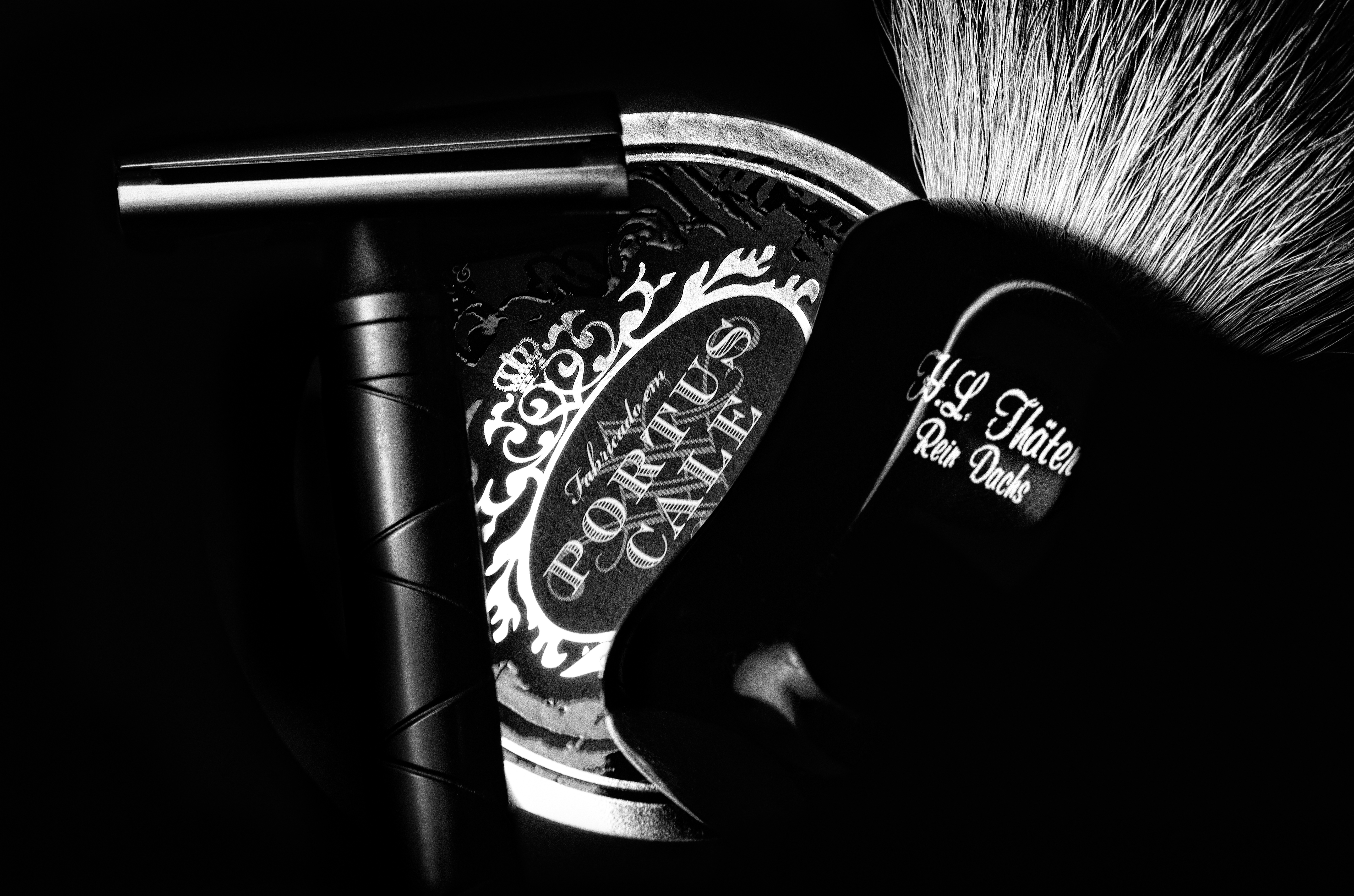 SOTD_20180129.jpg